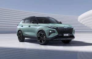 東風(fēng)風(fēng)神皓極