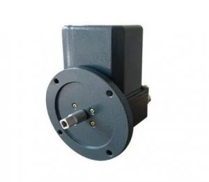 轉(zhuǎn)速限制器