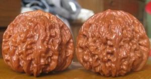 文玩核桃 文玩核桃