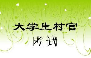 大學(xué)生村官考試 大學(xué)生村官考試
