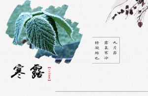 寒露節(jié)氣 寒露節(jié)氣