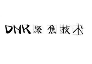 DNR聚焦技術(shù) DNR聚焦技術(shù)