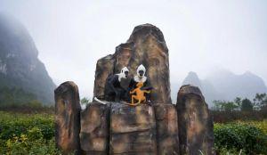 岜盆鄉(xiāng)白頭葉猴自然保護(hù)區(qū)