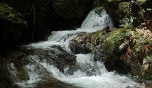 七沖國(guó)家級(jí)自然保護(hù)區(qū)