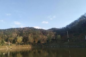 七沖國(guó)家級(jí)自然保護(hù)區(qū)