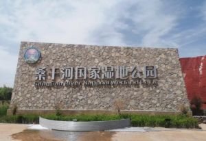 河北涿鹿桑干河國家濕地公園 河北涿鹿桑干河國家濕地公園