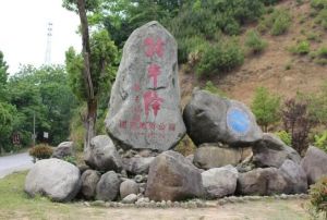 祁門牯牛降九龍