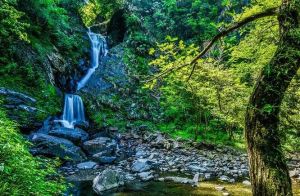 祁門牯牛降九龍