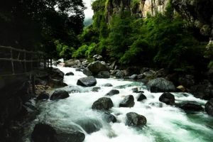 祁門牯牛降九龍