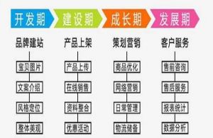 淘寶網(wǎng)發(fā)展