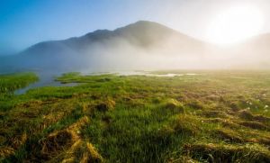 神農(nóng)架大九湖國家濕地公園 神農(nóng)架大九湖國家濕地公園