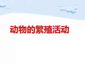 動物在繁殖 動物在繁殖