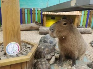 天氣預(yù)報 天氣預(yù)報