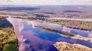 亞馬遜熱帶雨林 亞馬遜熱帶雨林