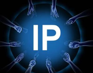 IP IP