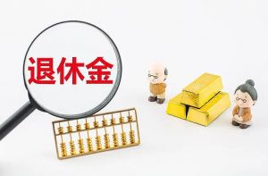 退休金 退休金