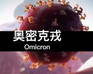 奧密克戎 奧密克戎