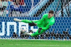 多米尼克·利瓦科維奇 多米尼克·利瓦科維奇