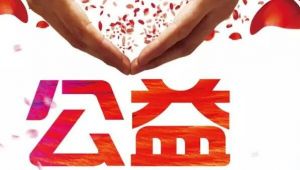 公益 公益