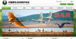 中國(guó)野生動(dòng)物保護(hù)協(xié)會(huì) 中國(guó)野生動(dòng)物保護(hù)協(xié)會(huì)