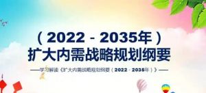 擴(kuò)大內(nèi)需戰(zhàn)略規(guī)劃綱要 擴(kuò)大內(nèi)需戰(zhàn)略規(guī)劃綱要