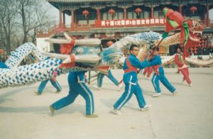 東儲(chǔ)雙龍會(huì) 東儲(chǔ)雙龍會(huì)