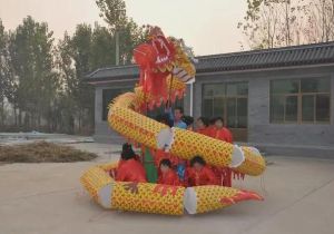 易縣擺字龍燈 易縣擺字龍燈