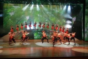 通城拍打 通城拍打