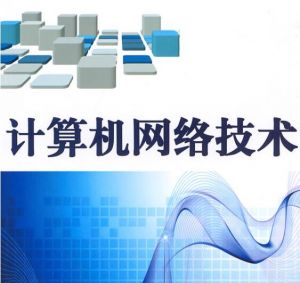 計算機網(wǎng)絡(luò)技術(shù) 計算機網(wǎng)絡(luò)技術(shù)