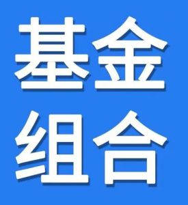 基金組合 基金組合