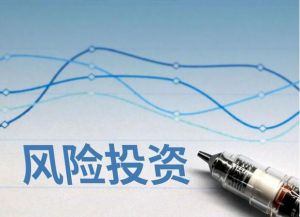風(fēng)險(xiǎn)投資 風(fēng)險(xiǎn)投資