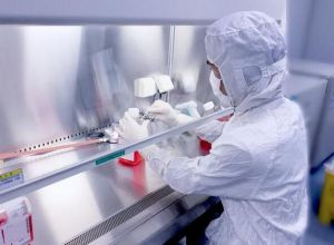 細(xì)胞培養(yǎng)