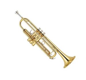 小號(hào) 小號(hào)