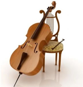 大提琴 大提琴