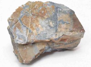 變質(zhì)巖 變質(zhì)巖