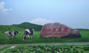 南山牧場(chǎng)