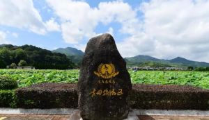 古田旅游區(qū)