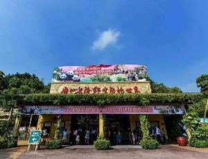 長隆野生動物世界 長隆野生動物世界