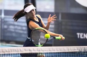 網(wǎng)球 網(wǎng)球