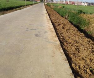 土路肩 土路肩