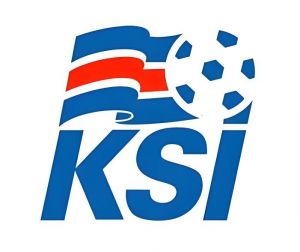 冰島國家男子足球隊 冰島國家男子足球隊