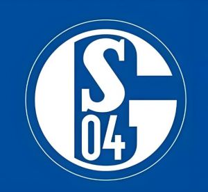 沙爾克04足球俱樂部 沙爾克04足球俱樂部