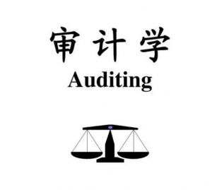 審計(jì)學(xué) 審計(jì)學(xué)