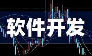 軟件開發(fā)