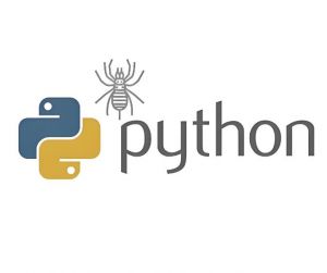 網(wǎng)絡(luò)爬蟲