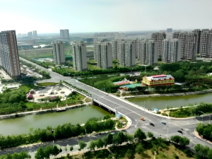 山東濱城區(qū)