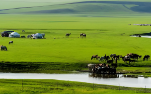 呼倫貝爾草原