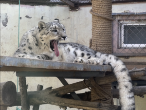 西寧野生動物園 西寧野生動物園