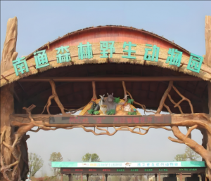 南通森林野生動(dòng)物園 南通森林野生動(dòng)物園