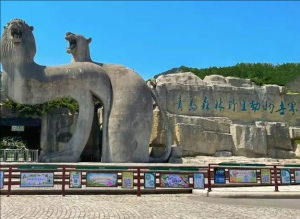 青島森林野生動物園